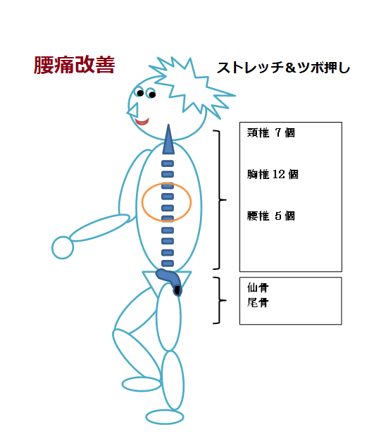 腰痛改善のストレッチ＆ツボ押し（手軽に筋トレーニング13